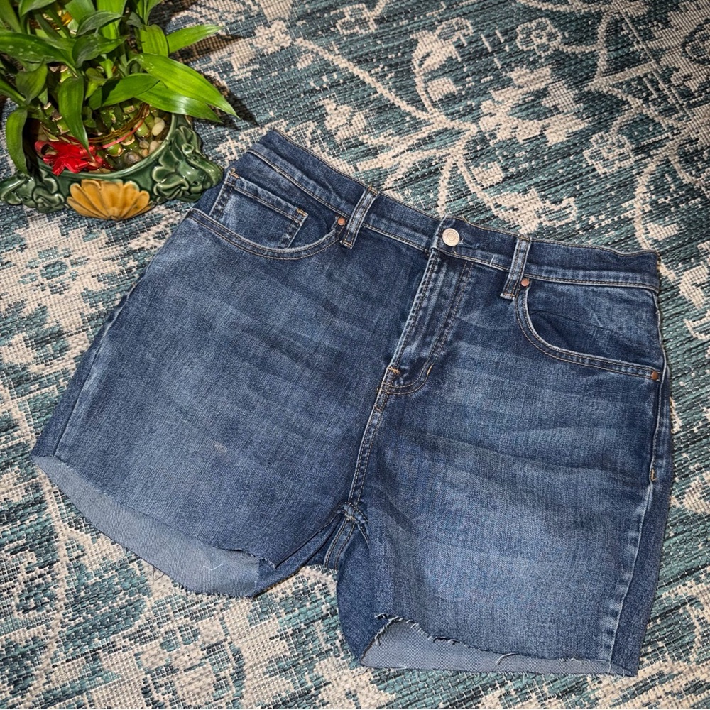 *MUST BE BUNDLED*•PacSun• Cutoff Denim Shorts
